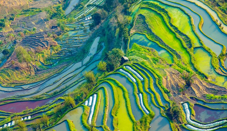 宝妈必备神器：桃城区产品视频拍摄轻松育儿好帮手