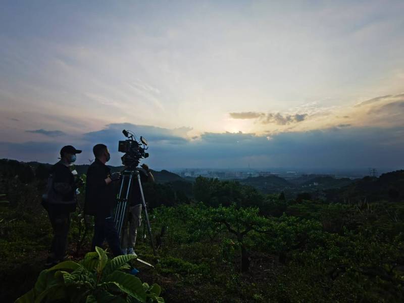 聚焦桃城区产品宣传视频拍摄公司，用专业实力铸就品牌传播传奇